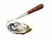 Нож для устриц 60/160 мм. ручка дерев. Tellier N4172