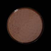 Тарелка мелкая 225мм Corone Carmen красная фк1800 Тарелка мелкая 225мм Corone Carmen красная фк1800