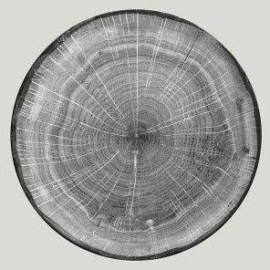 Тарелка круглая 240мм RAK Woodart WDNNPR24BG /1/12/