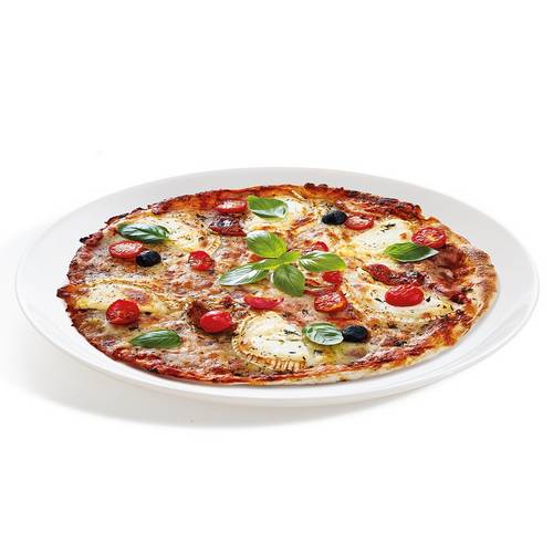 Тарелка d=250 мм. без полей Эволюция N9361 /6/24/