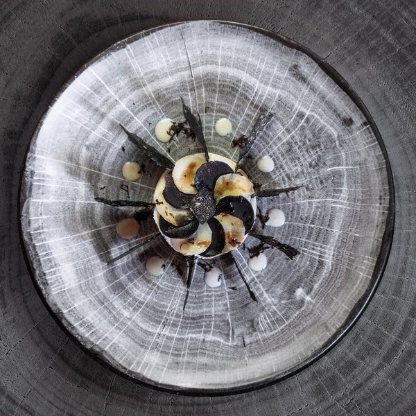 Фарфор серии RAK Porcelain Woodart (ОАЭ)